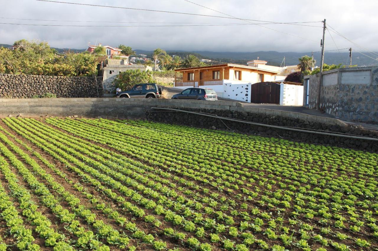 Chalet Las Vinas Vila Icod De Los Vinos Exterior foto